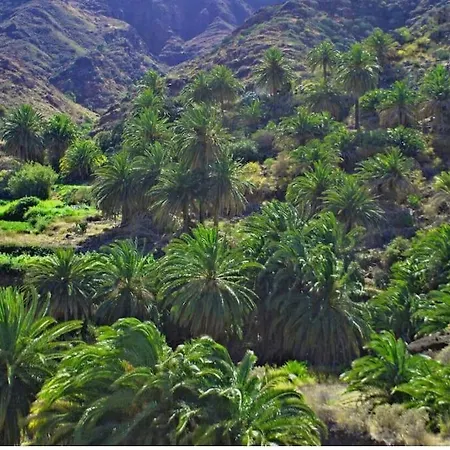 Al-cova House 13 公寓 *